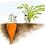 bitkarrot